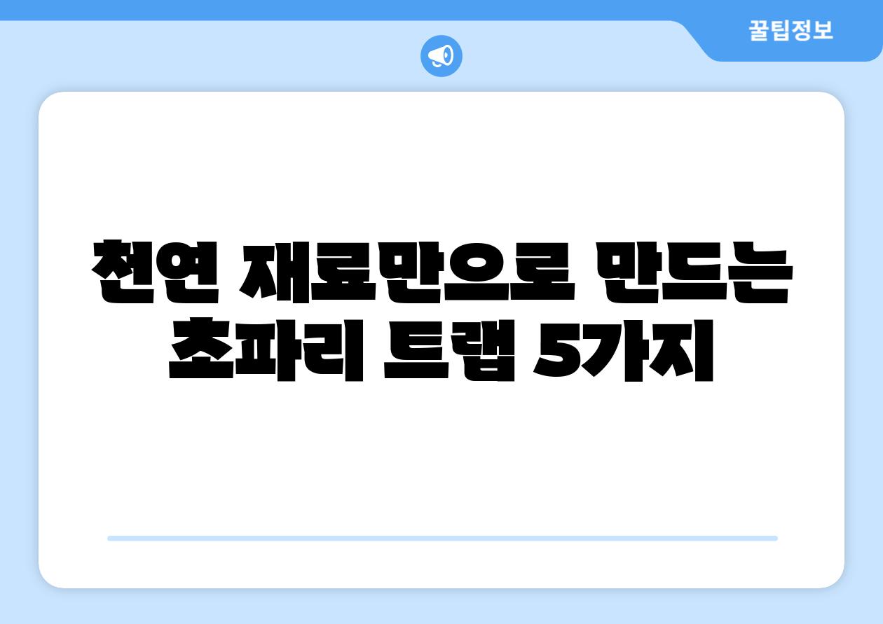 천연 재료만으로 만드는 초파리 트랩 5가지