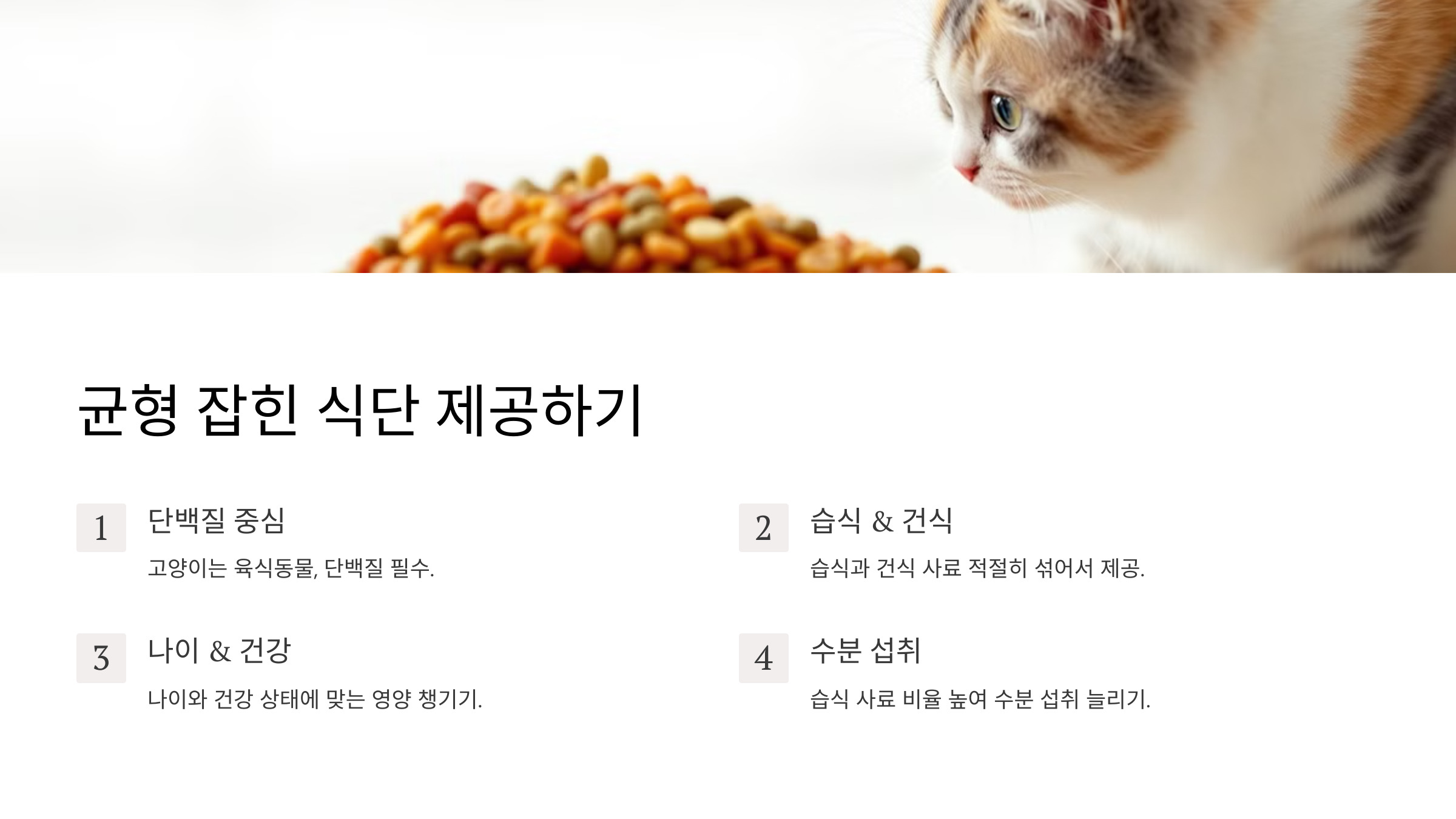 🍲 3. 균형 잡힌 식단 제공하기