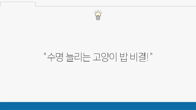 보기에 수명이 영향을 미치는 음식은?