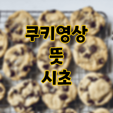 쿠키영상-썸네일