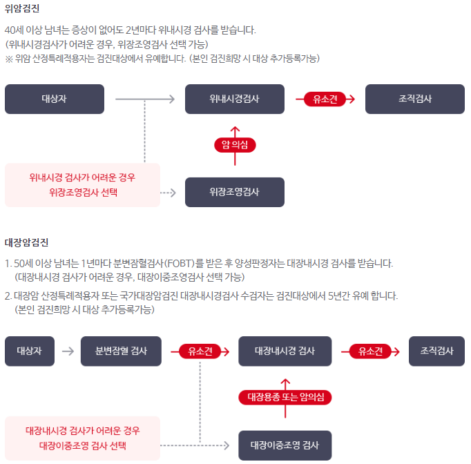 암-검진-항목-이미지