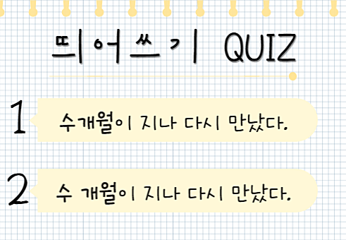 수개월 퀴즈