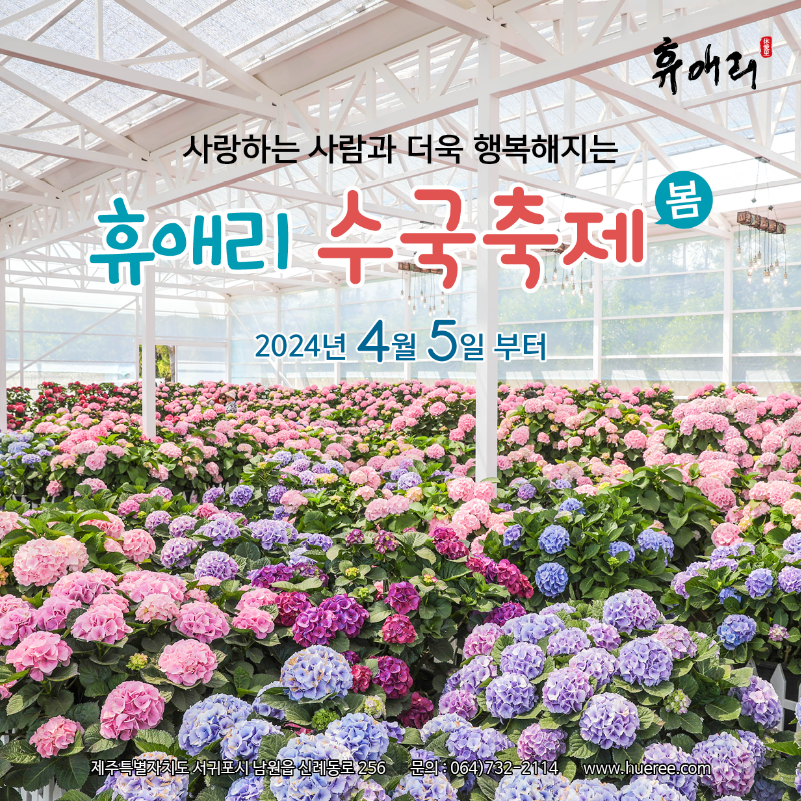 6월 제주도 가볼만한곳 BEST 축제 10곳