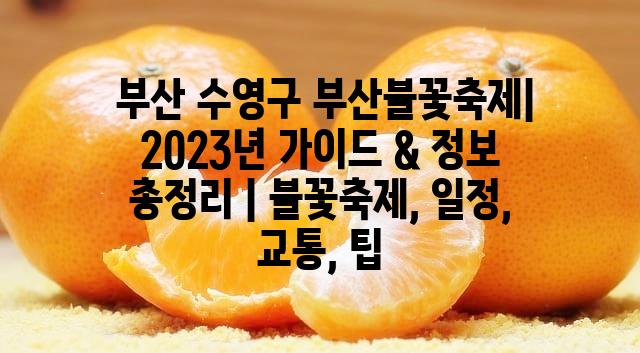 랜덤228