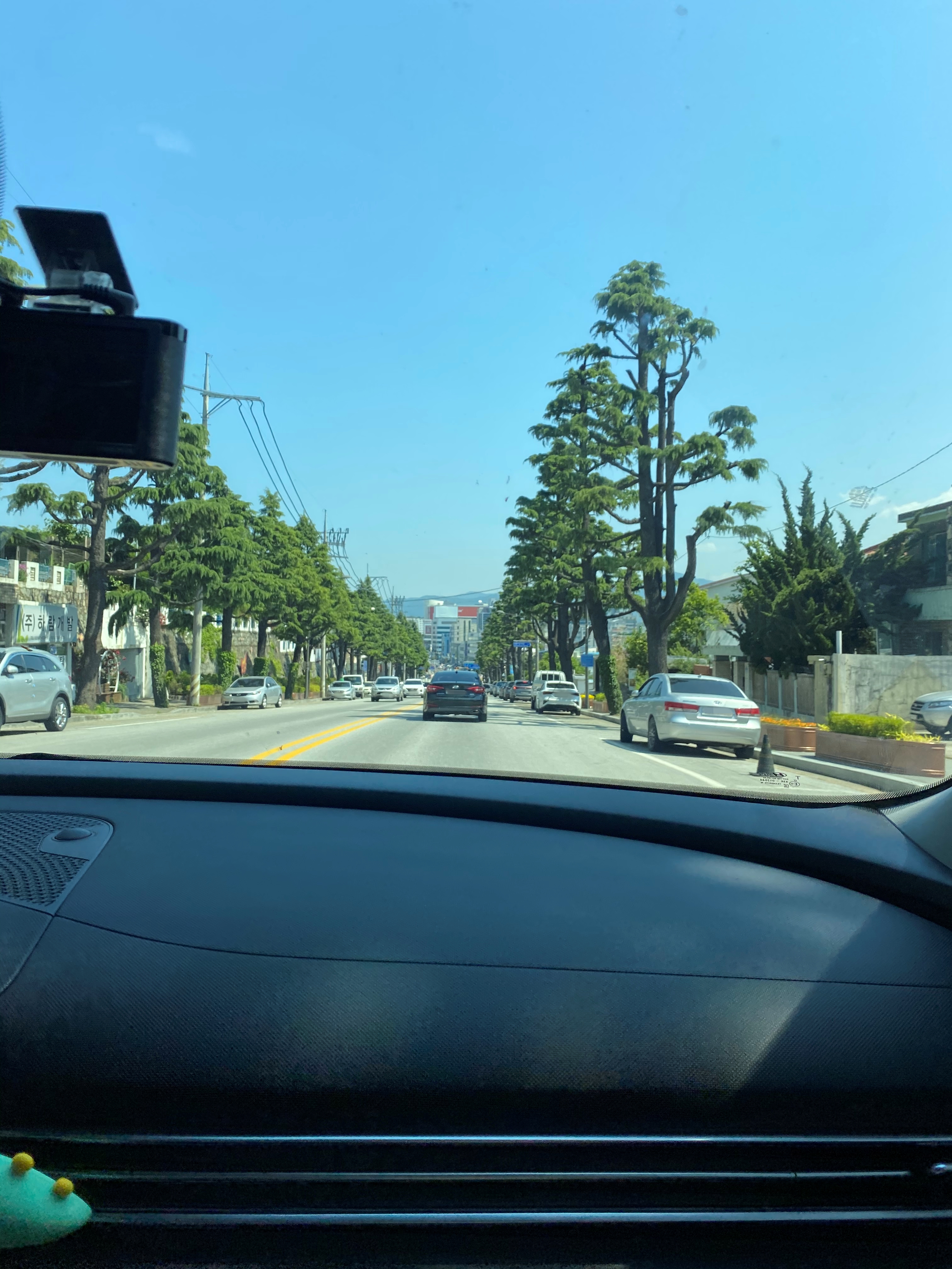  [강릉] 강릉 가볼만한곳 여행 중앙시장 중화짬뽕빵 커피콩빵 육쪽마늘빵~ 빵빵빵~~~!!