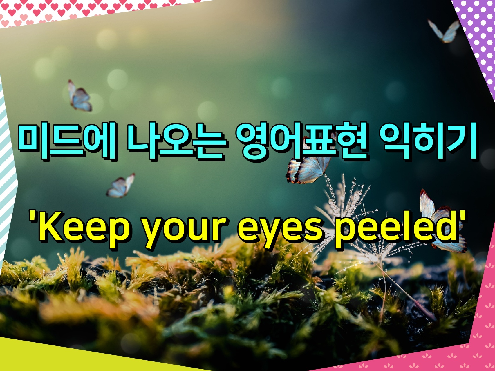 미드에 나오는 영어표현 익히기 'Keep your eyes peeled'