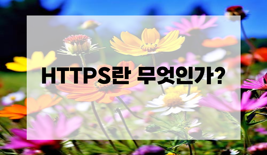 HTTPS란 무엇인가?