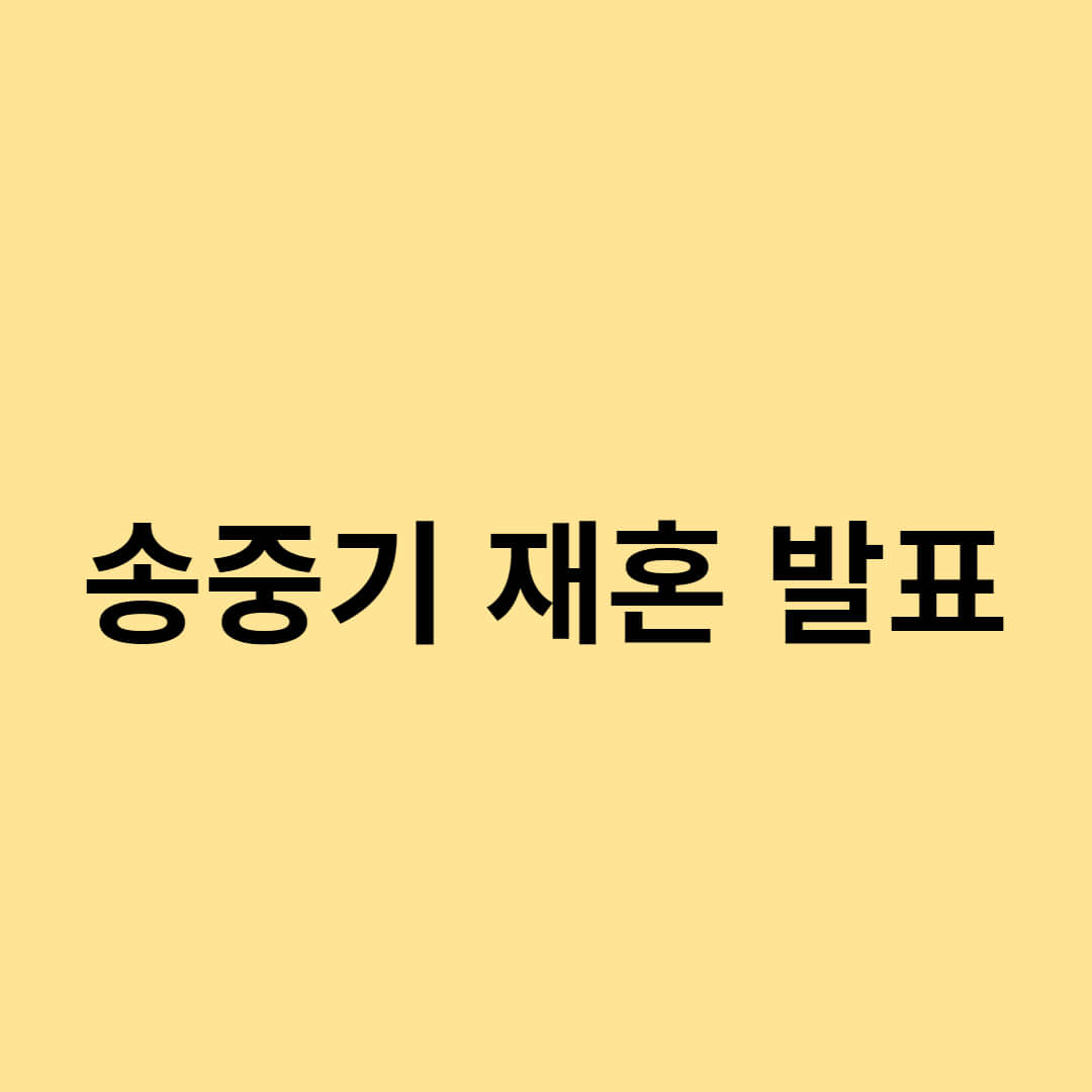 송중기 재혼