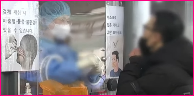 코로나 검사