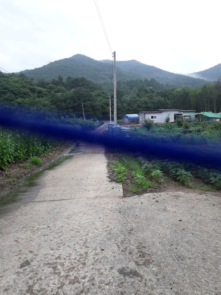 주변산 이미지