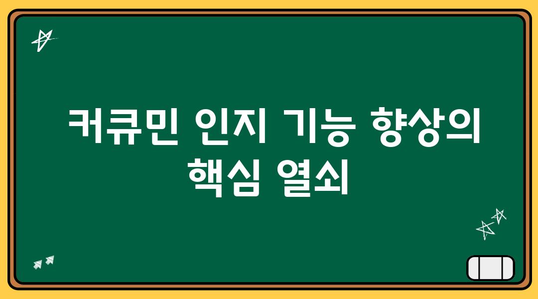  커큐민 인지 기능 향상의 핵심 열쇠