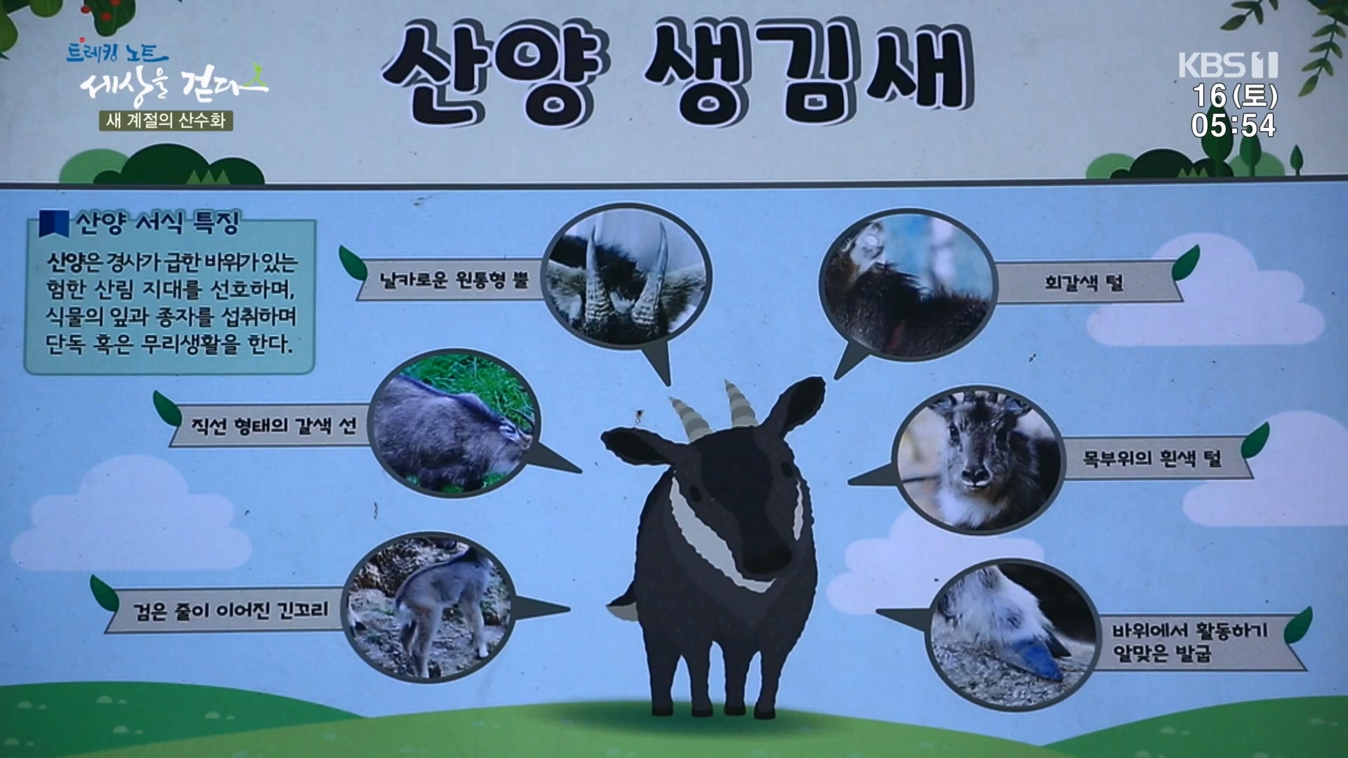 트레킹노트 세상을 걷다.E299.231216p.H264-F1RST.mp4_20240131_200150.744.jpg