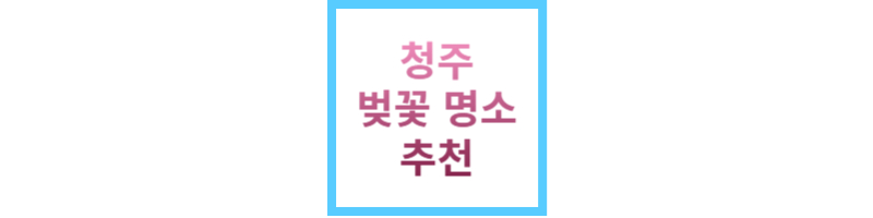 청주벚꽃