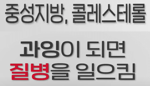 고지혈증 검사 비용