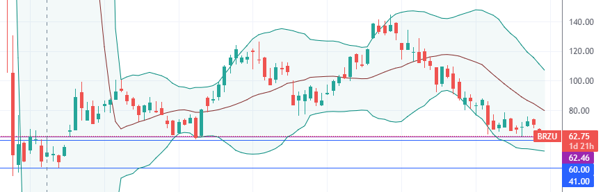 TradingView - BRZU 주봉 (2021. 12. 29)