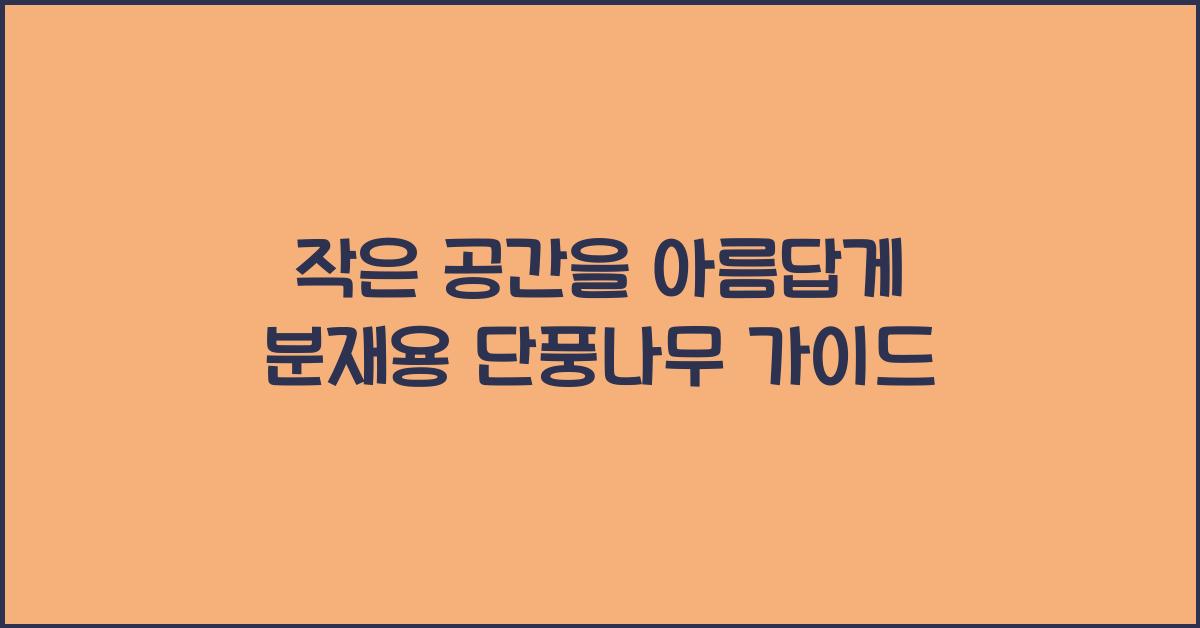 분재용 단풍나무