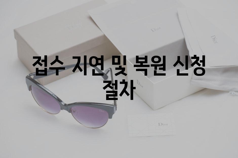 접수 지연 및 복원 신청 절차