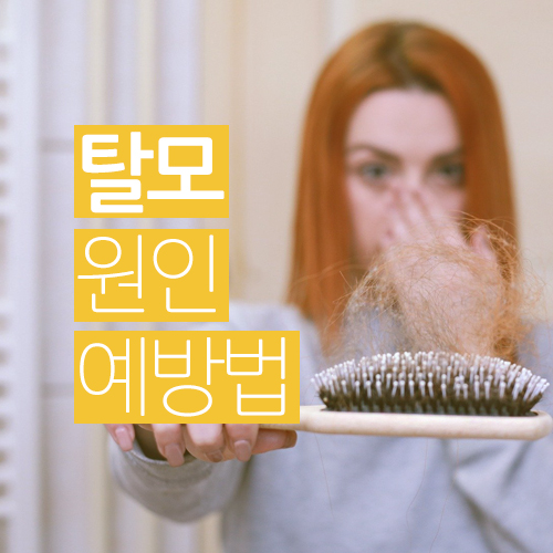  탈모 원인과 예방법