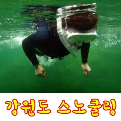 강원도-스노클링!-꼭-가봐야-할-명소-4곳
