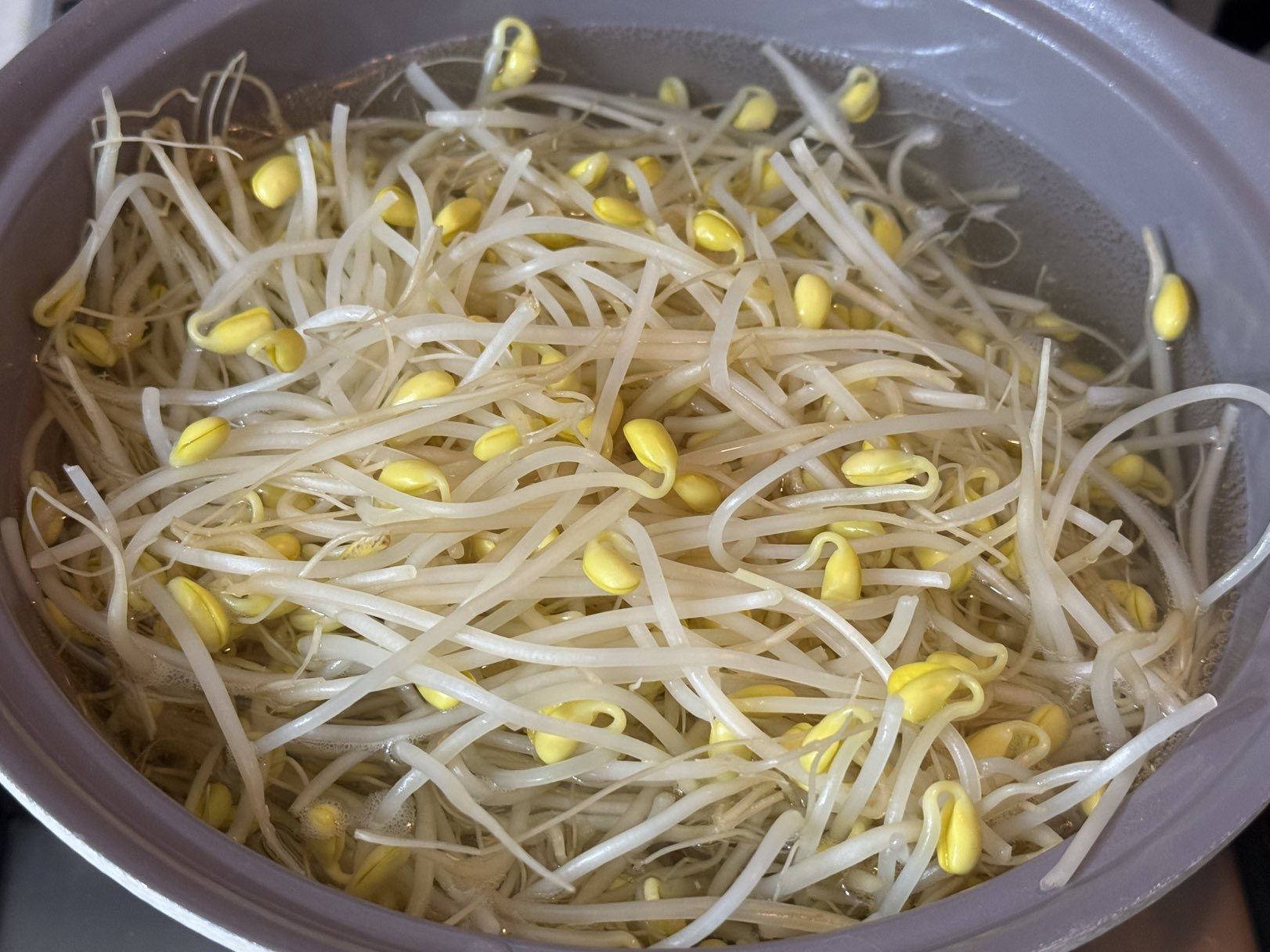 콩나물국 레시피