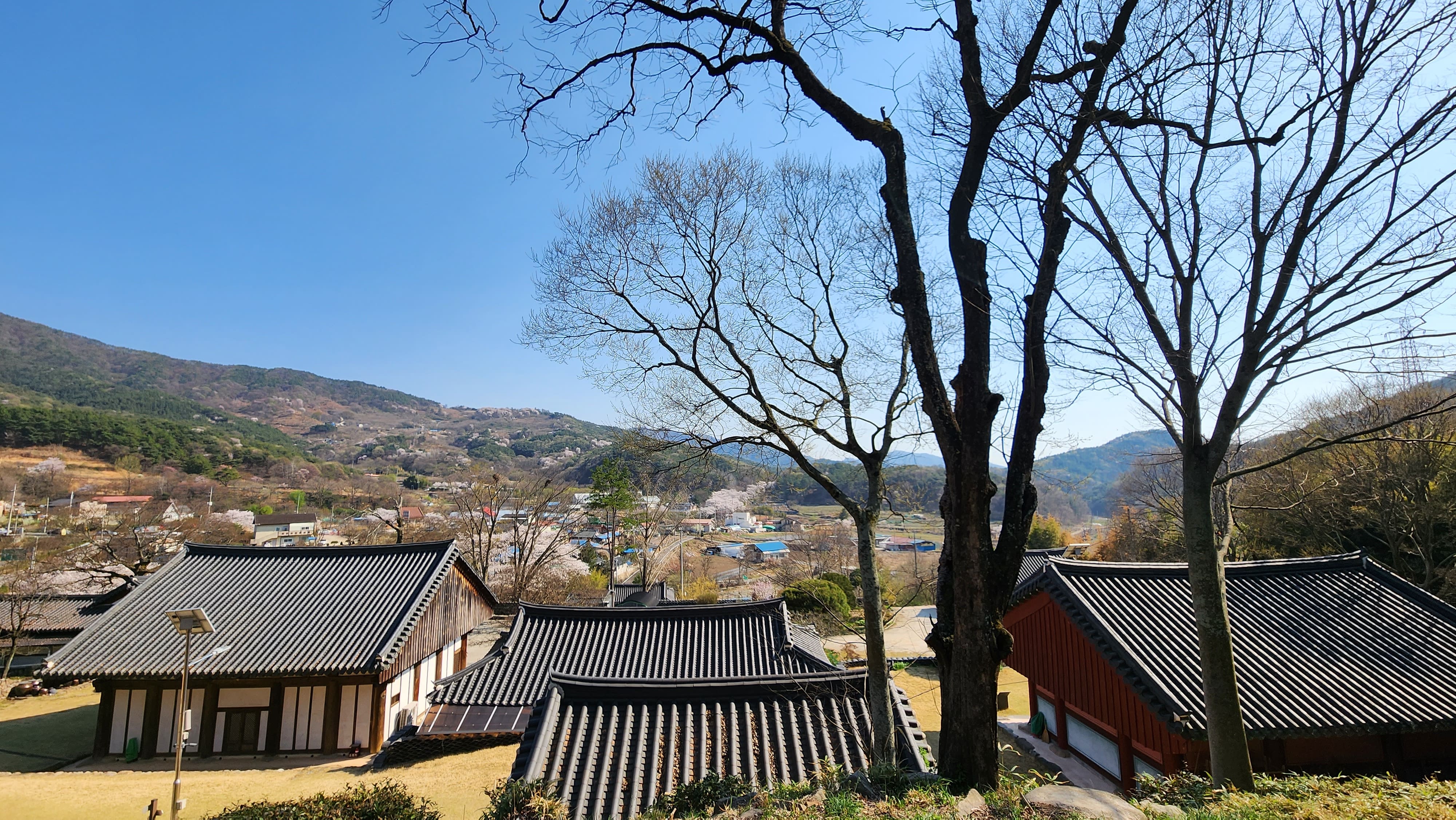 귀신사와 청도리