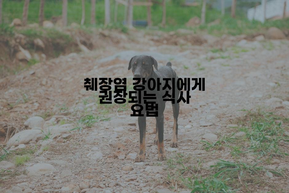 췌장염 강아지에게 권장되는 식사 요법