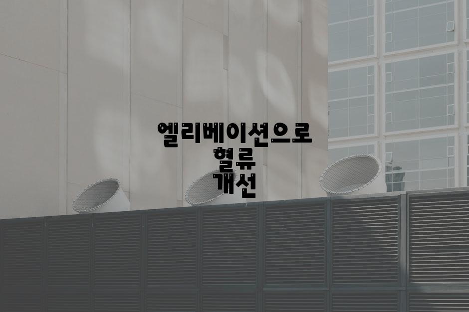엘리베이션으로 혈류 개선