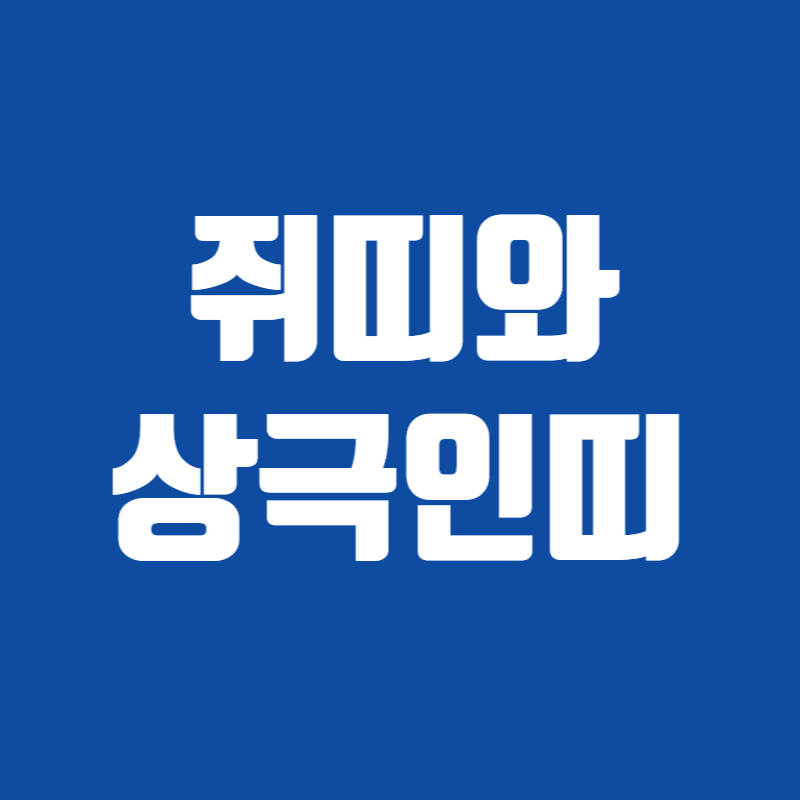 쥐띠와상극인띠