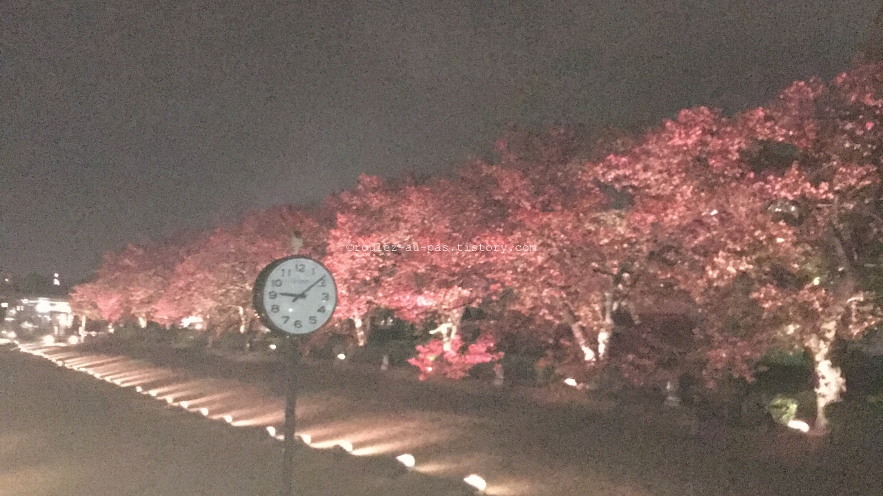 JAPAN-TRAVEL-TOYAMA-KANSUI PARK-AUTUMN FOLIAGE