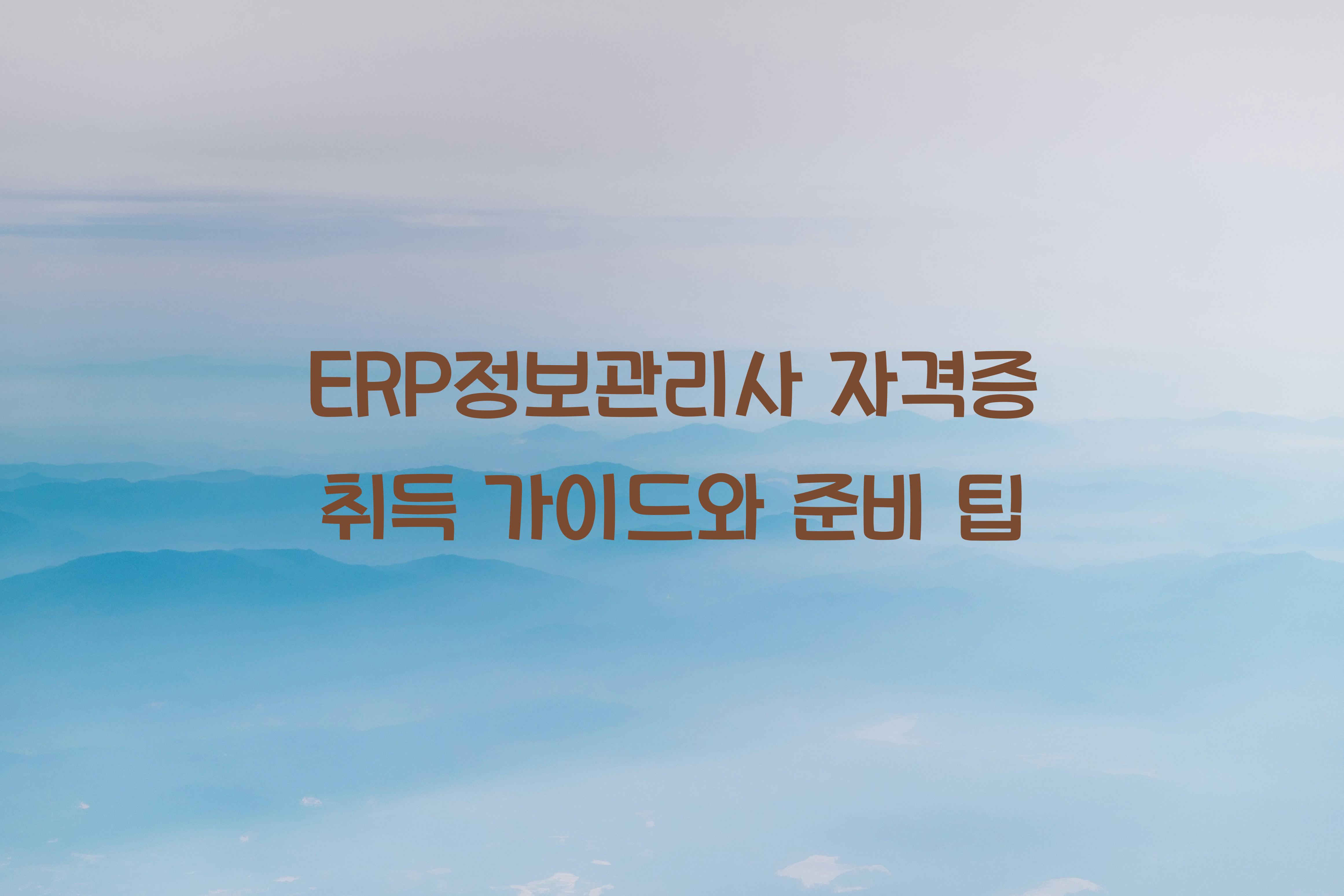 erp정보관리사