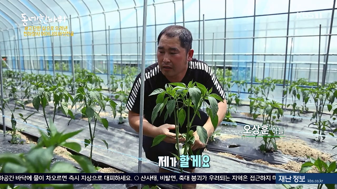 동네 한 바퀴.E280.240630p-NEXT.mp4_20240630_171131.950.jpg