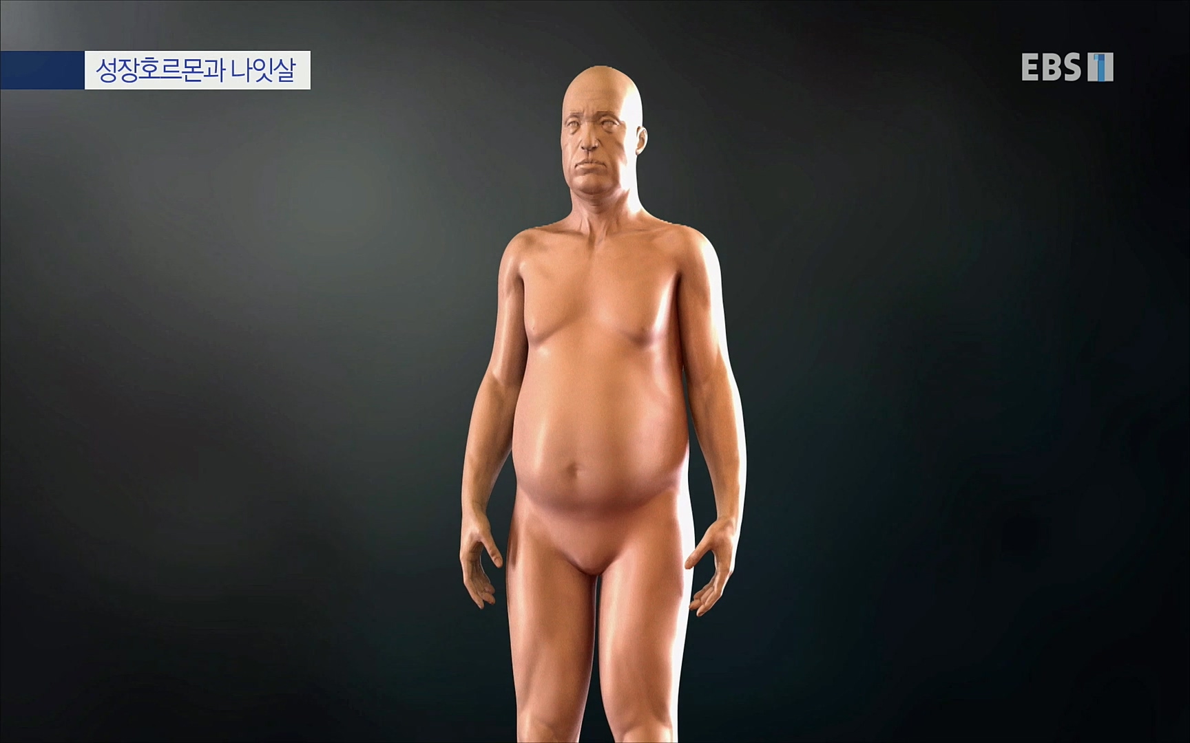 EBS 명의 헬스케어 - TV - 교육의 중심 EBS내 몸을 지배하는 7가지 호르몬 2부, 증상을 의심하자!.mp4_20220711_200159.947.jpg