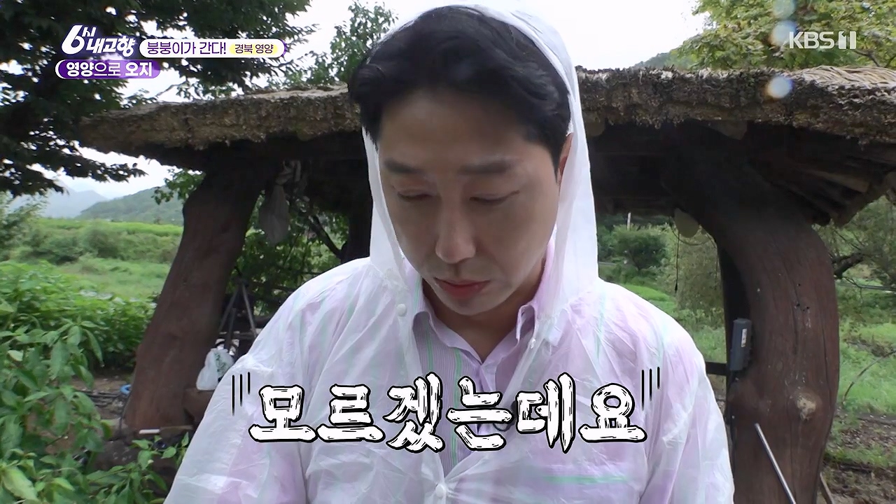 6시 내고향.E7878.230912p-NEXT.mp4_20230918_203947.268.jpg