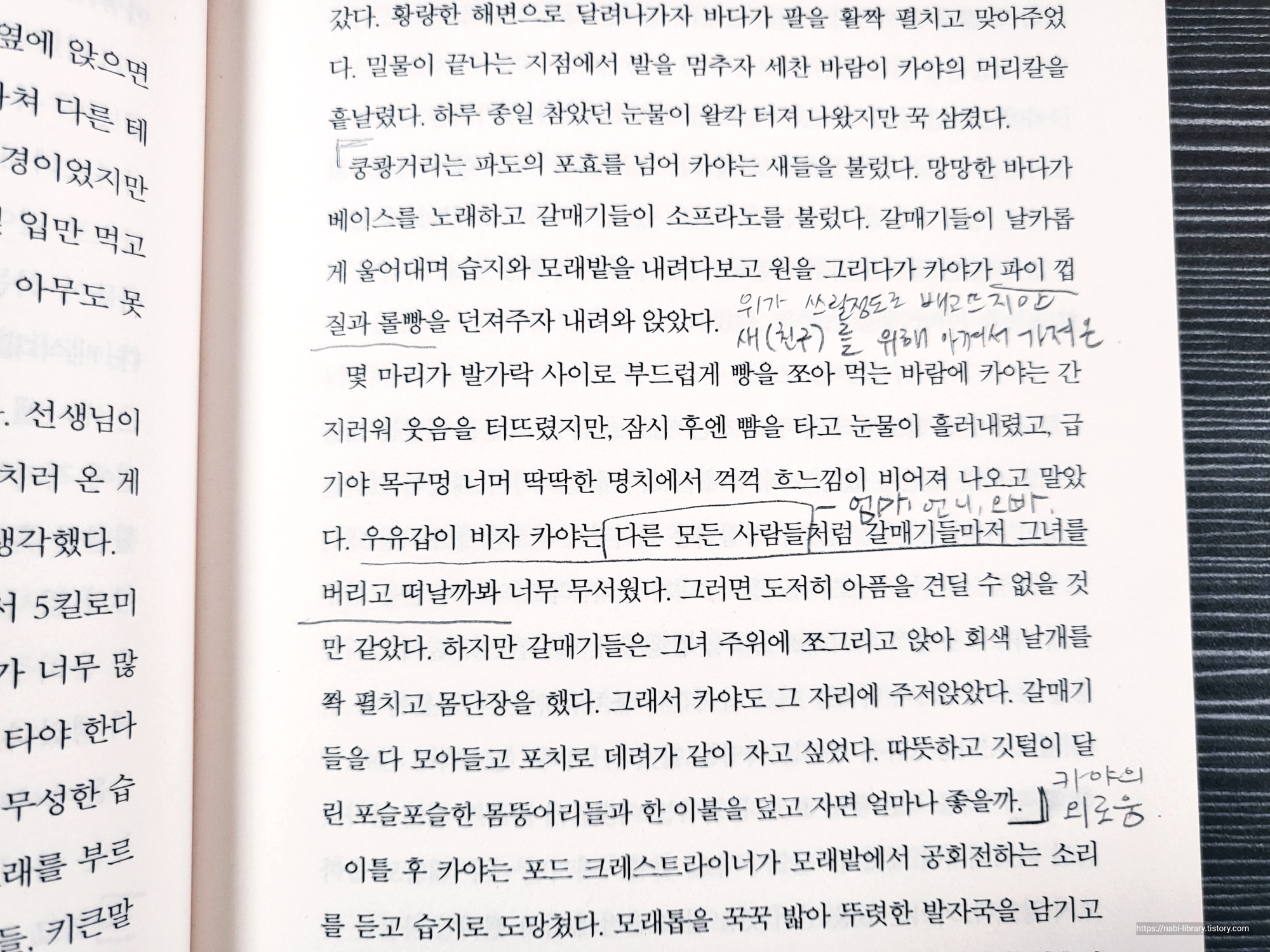 가재가 노래하는 곳1