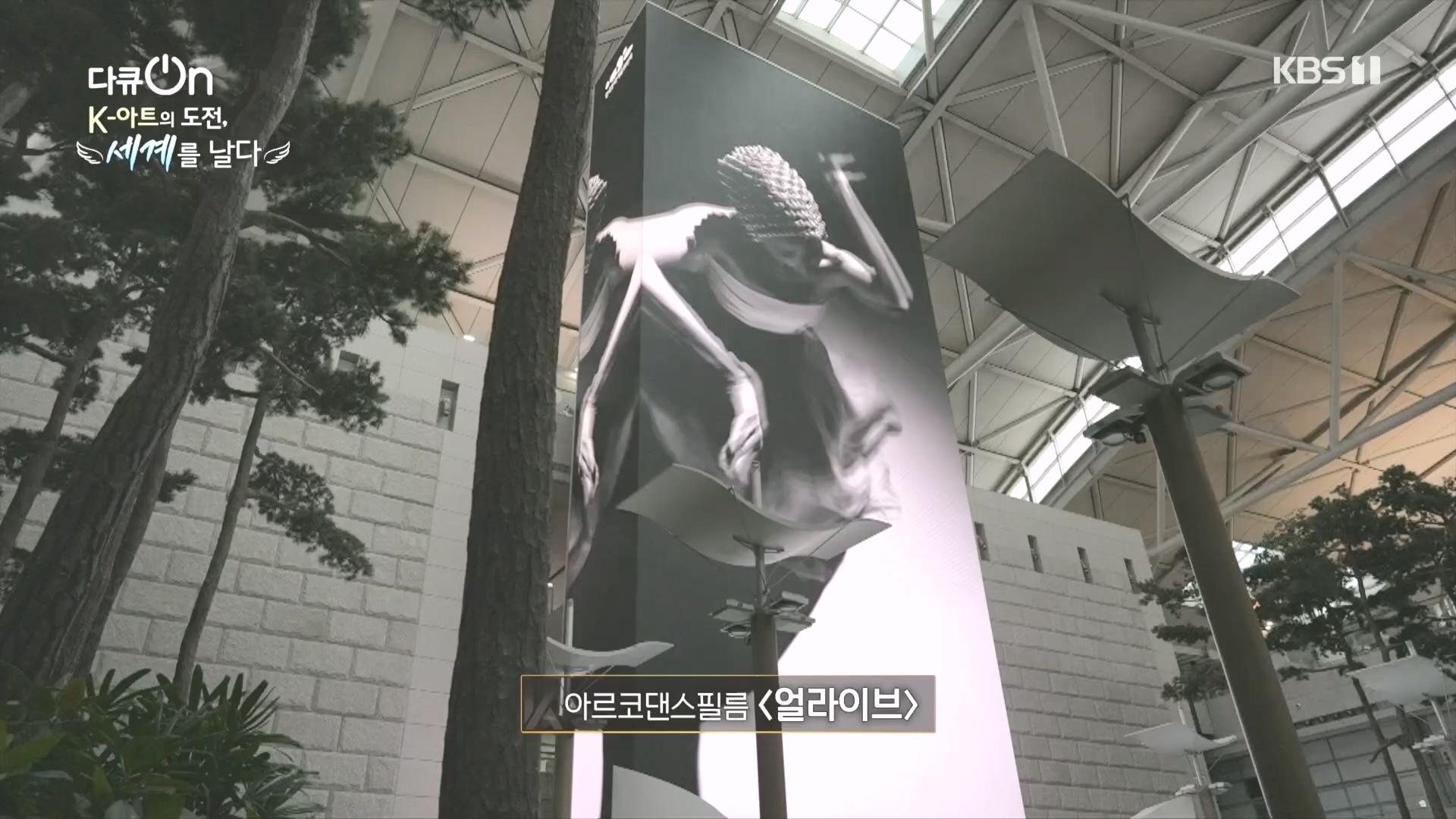 다큐 On.E217.231015p.H264-F1RST.mp4_20231016_194812.852.jpg