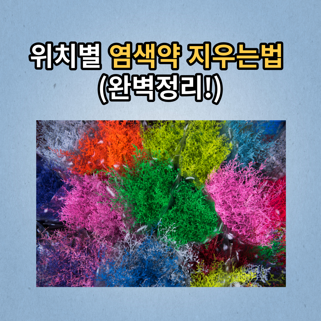  위치별 염색약 지우는 법_완벽 정리!!