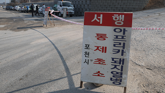  [이슈] 경기 포천서 또 아프리카돼지열병 발생