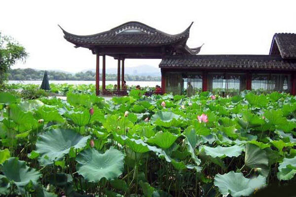 동양조경 이미지