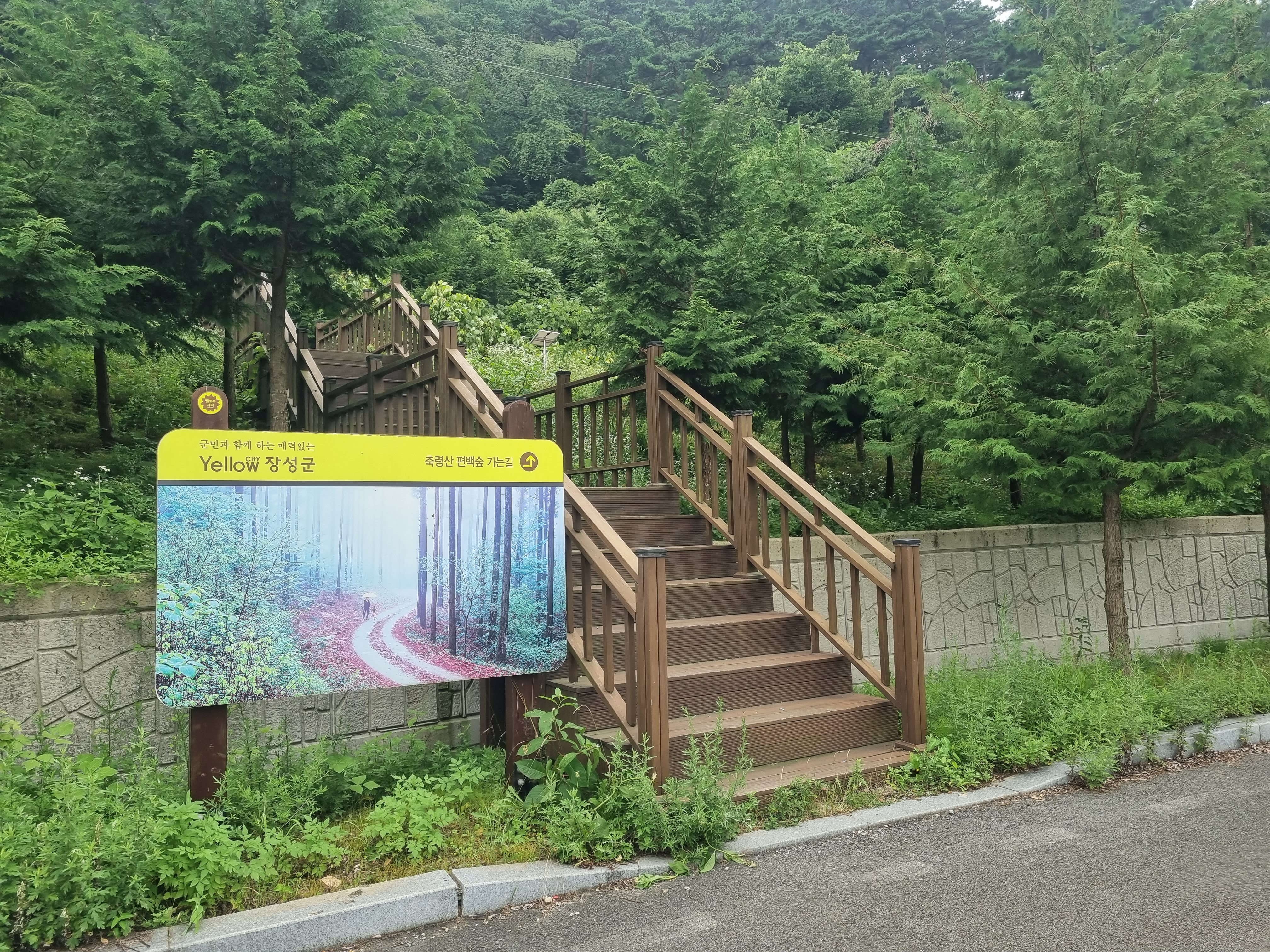 편백숲_가는길