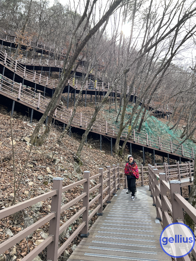 춘천 삼악산 케이블카 산책길 모습