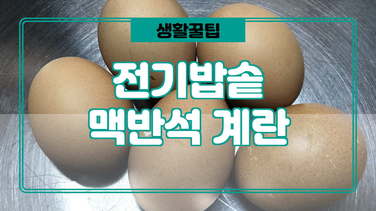  전기밥솥 맥반석 계란 만드는법 알려드리겠습니다.