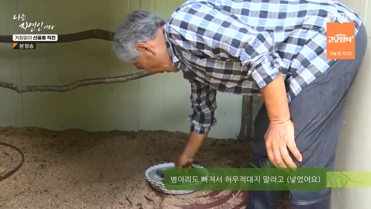 나는 자연인이다.E564.230727p-NEXT.mp4_20230727_211934.451.jpg
