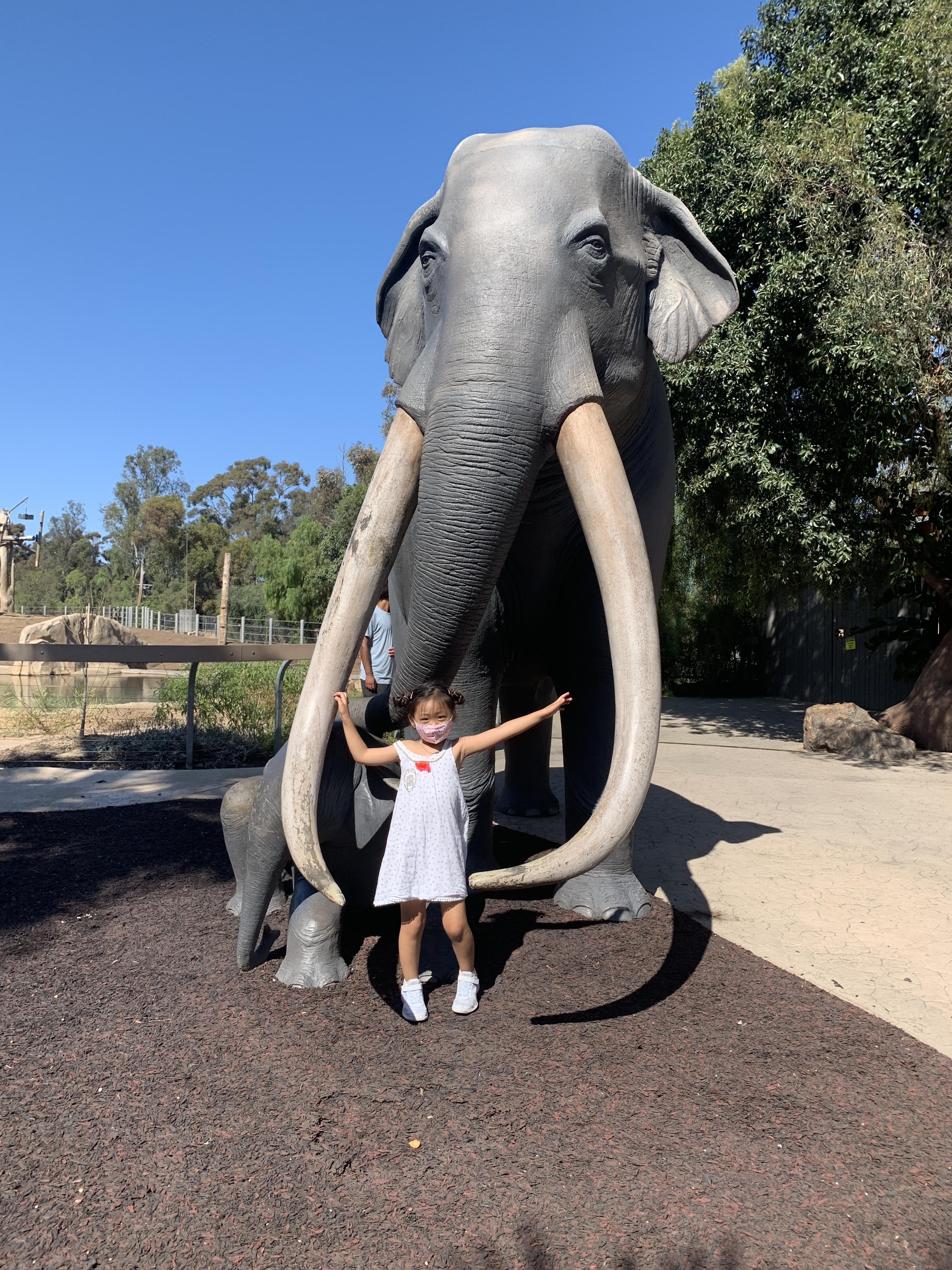  샌디에고 동물원 - San Diego Zoo