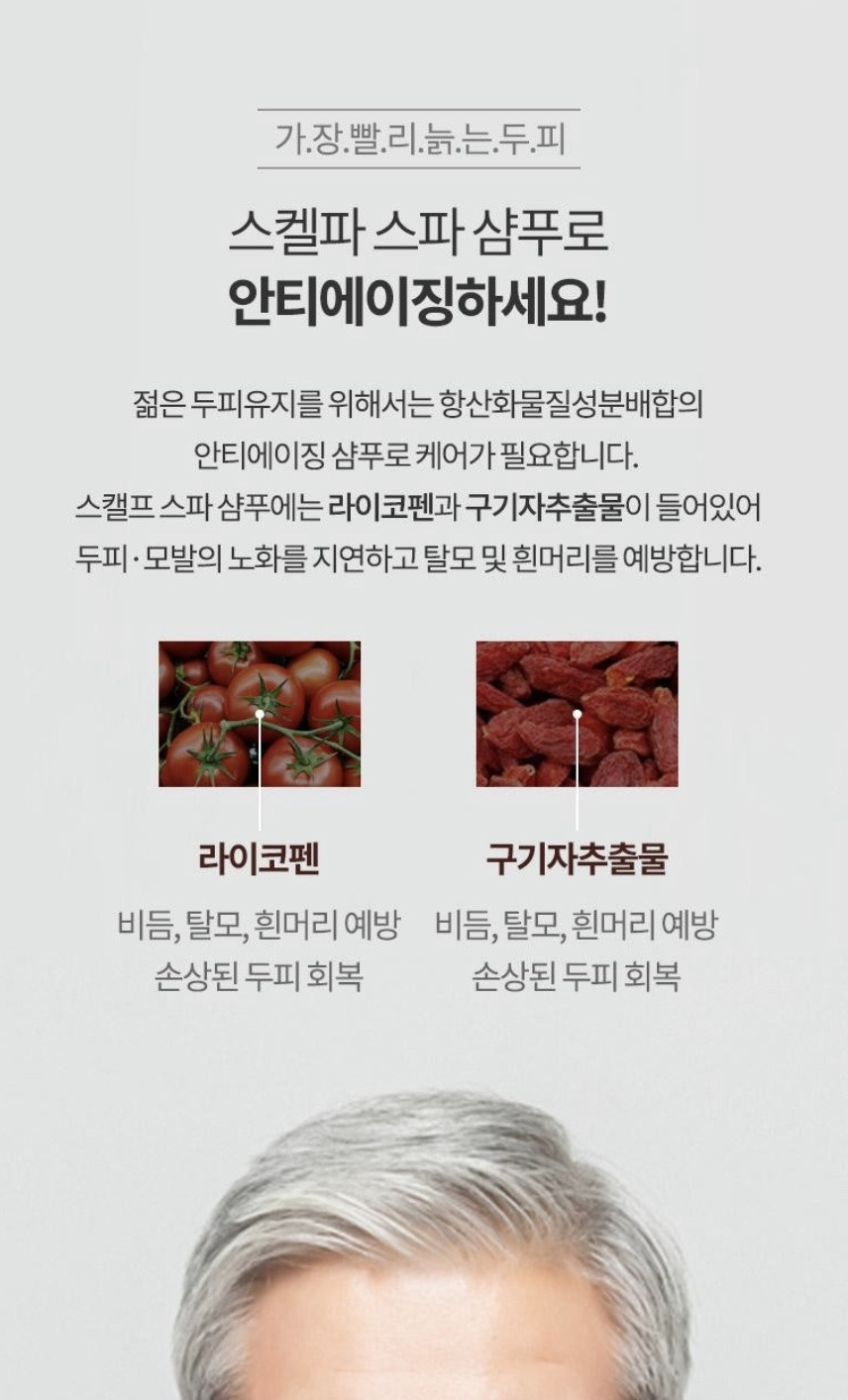 스캘프 이미지