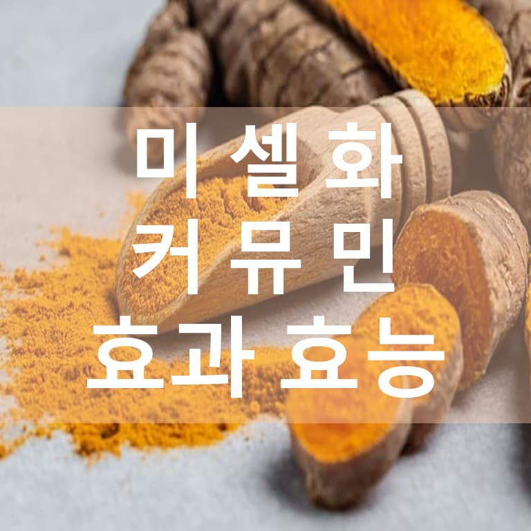 미셀화-커큐민-효과-효능