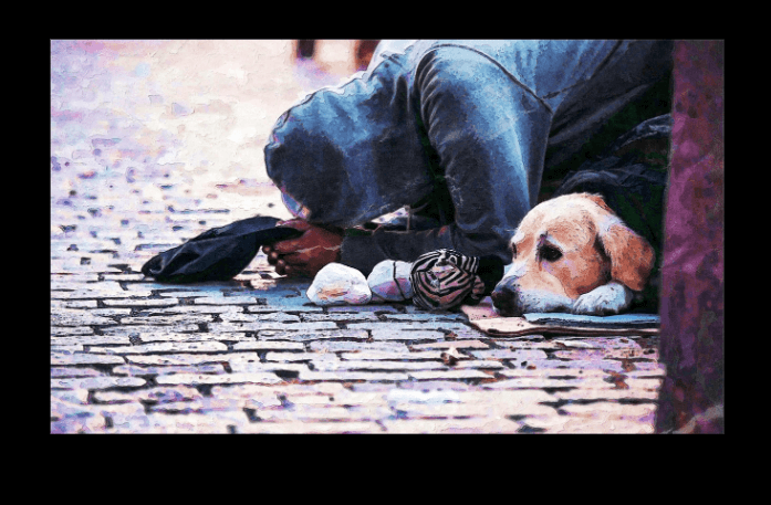 노숙자와 개가 있는 사진