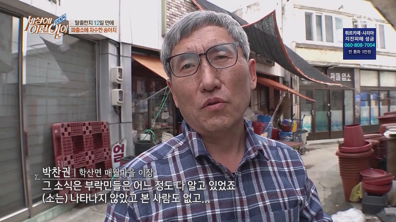 순간포착 세상에 이런 일이.E1217.230215p.WANNA.mp4_20230215_194719.858.jpg
