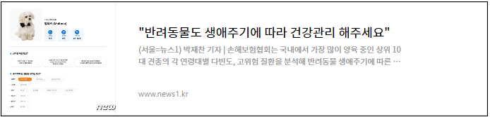 뉴시스1 기사