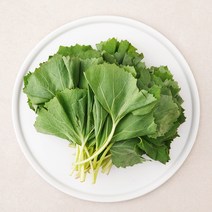 머위 영양 보관방법 손질 고르는 법 음식궁합