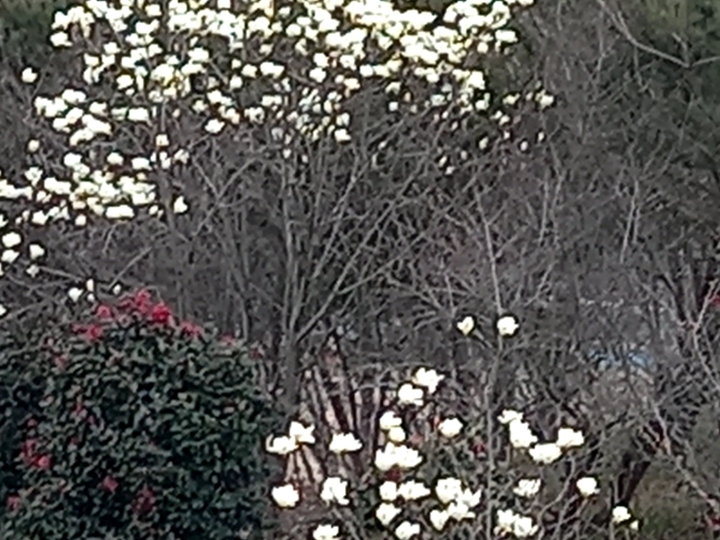 img.jpg